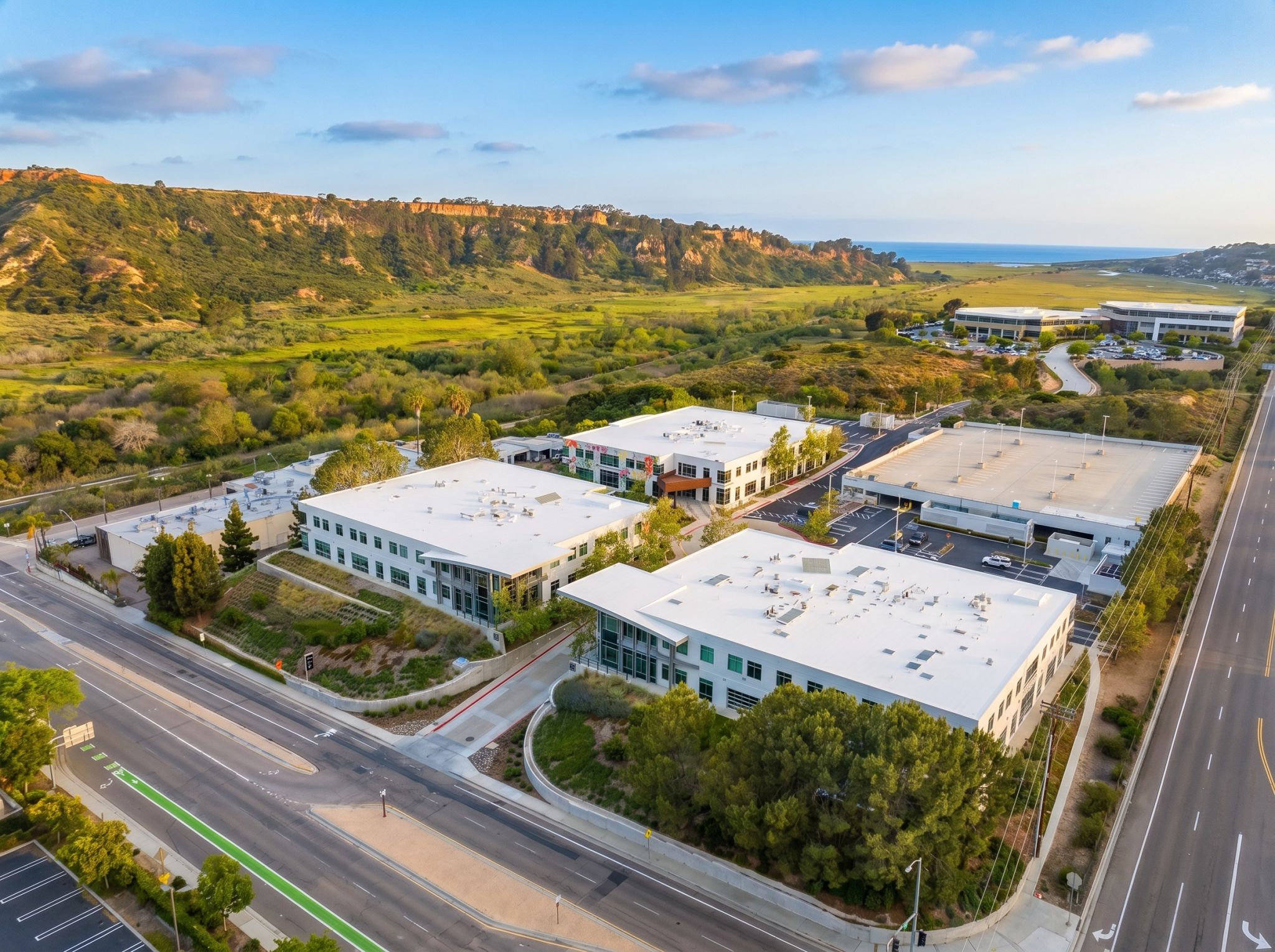 Open Kitchen Real Life Case Study: Satomic Inc. — Voit Life Sciences Advisory Group